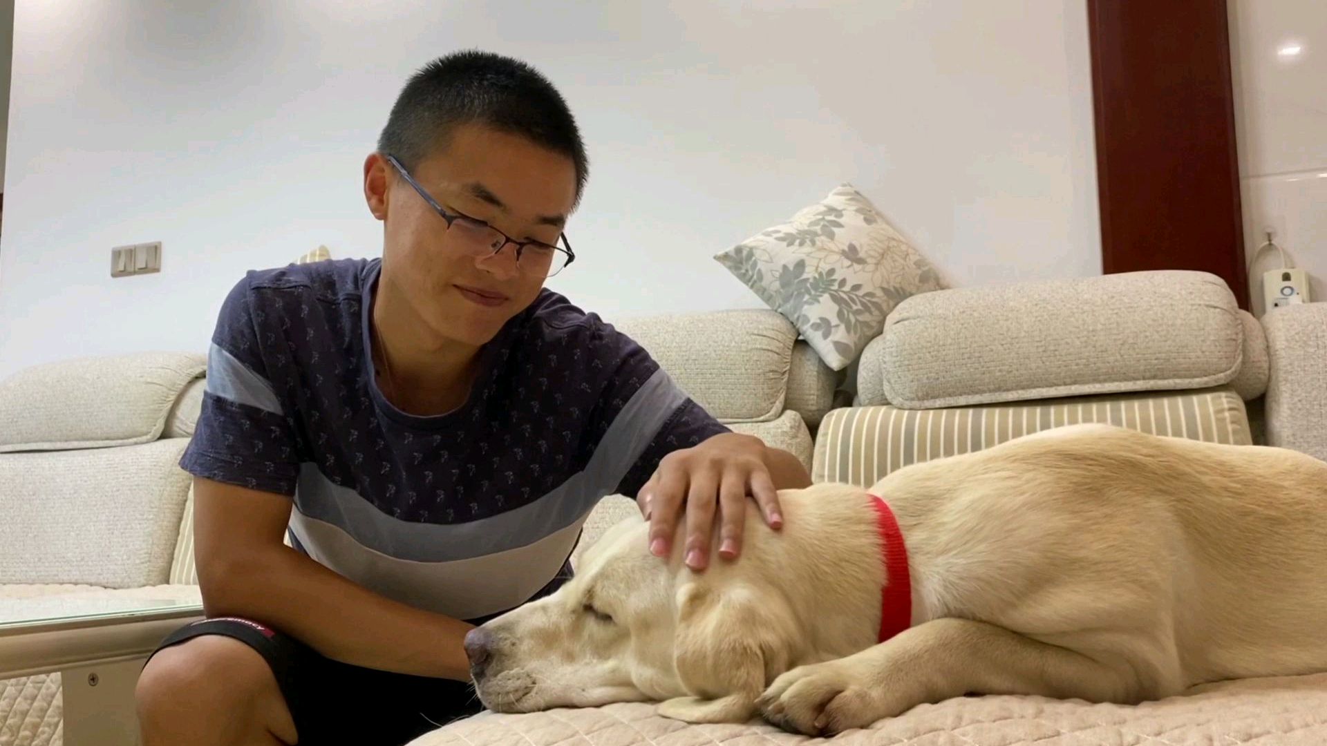主人加班到深夜,狗狗为他准备夜宵!