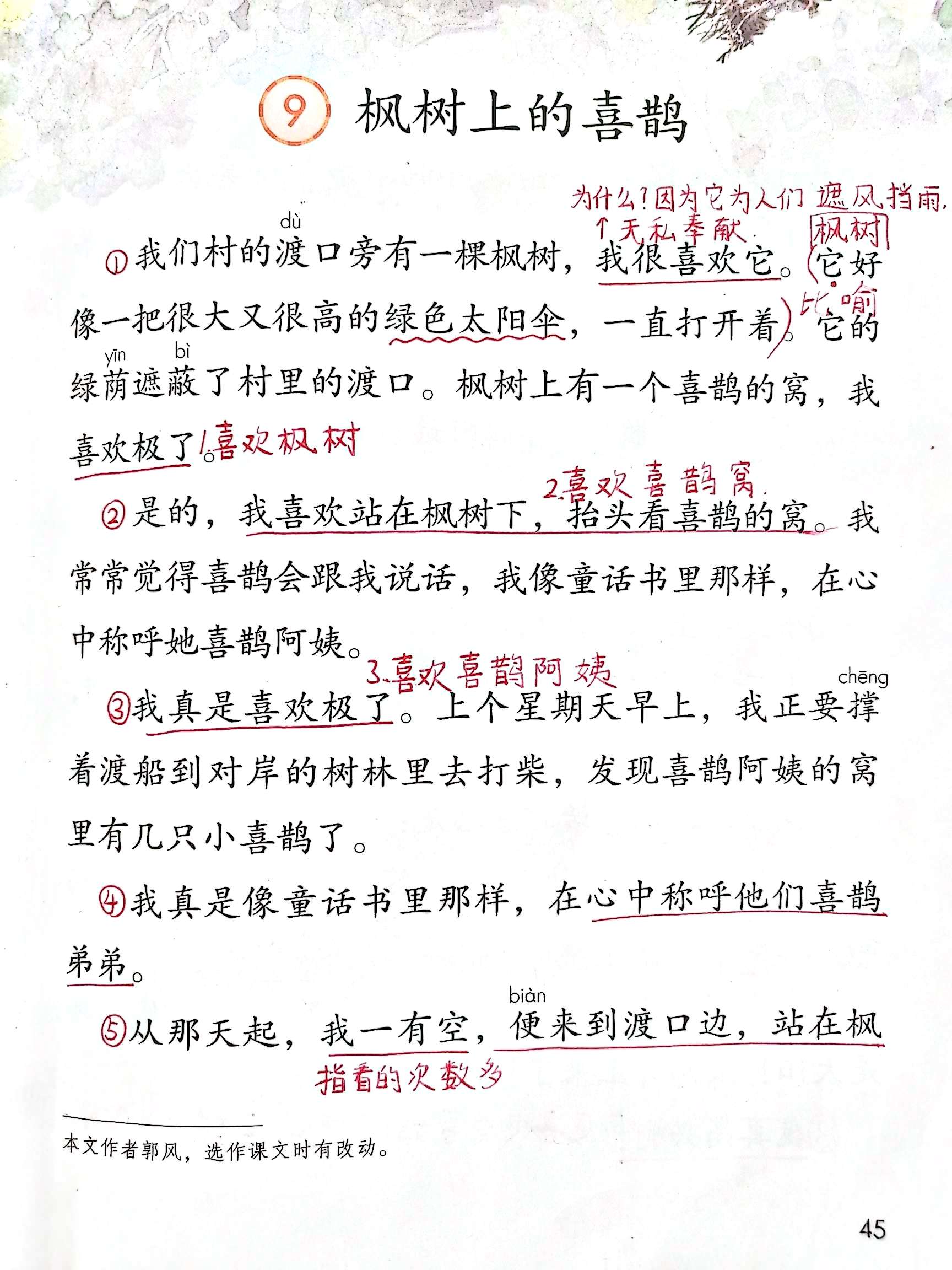 树和喜鹊课堂笔记图片图片