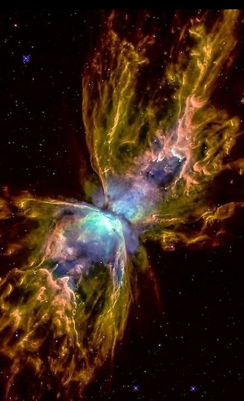 天蝎座 ngc6302 蝴蝶星云