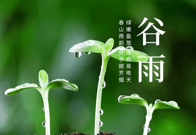 农谚清明宜晴谷雨宜雨是什么意思有道理吗