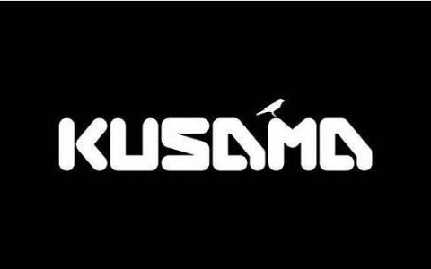 3张图拆解Kusama插槽拍卖进展 获得插槽的16个团队发展如何？