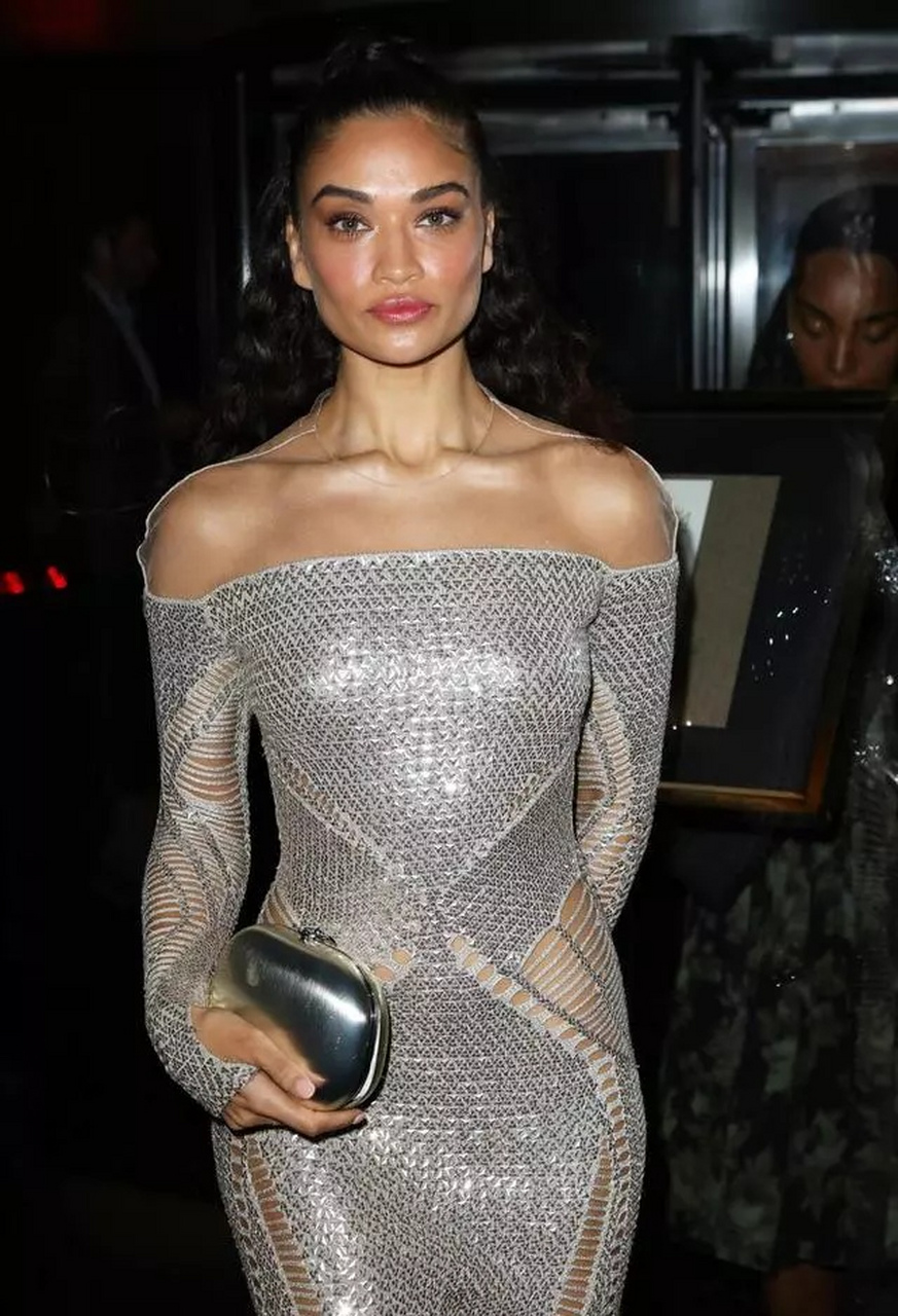 澳大利亚模特沙妮娜·谢克(shanina shaik)(六).