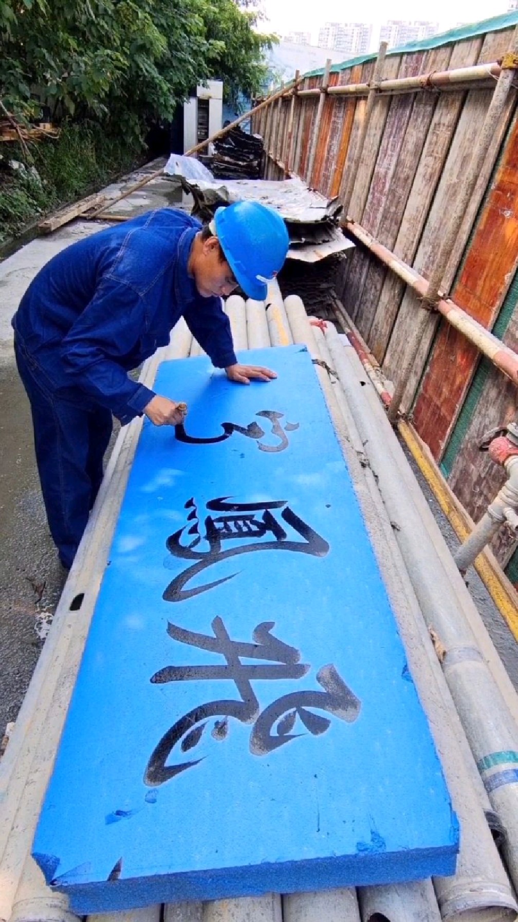 写好飞凤家走遍天下都不怕