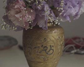 A vida são dois dias手机免费在线观看