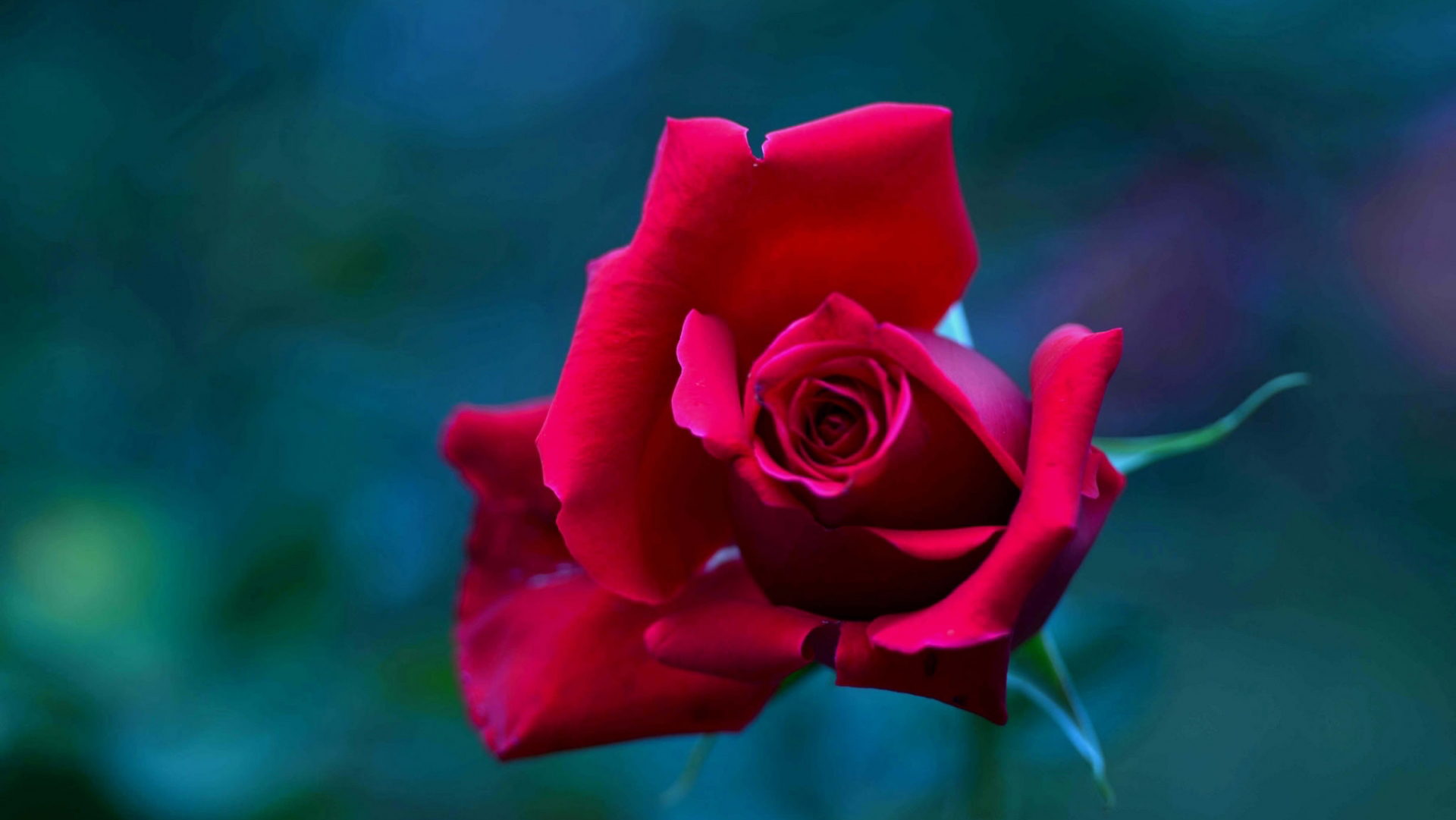 明傻暗精的星座,性格深沉,惯用低调,实则人间清醒!