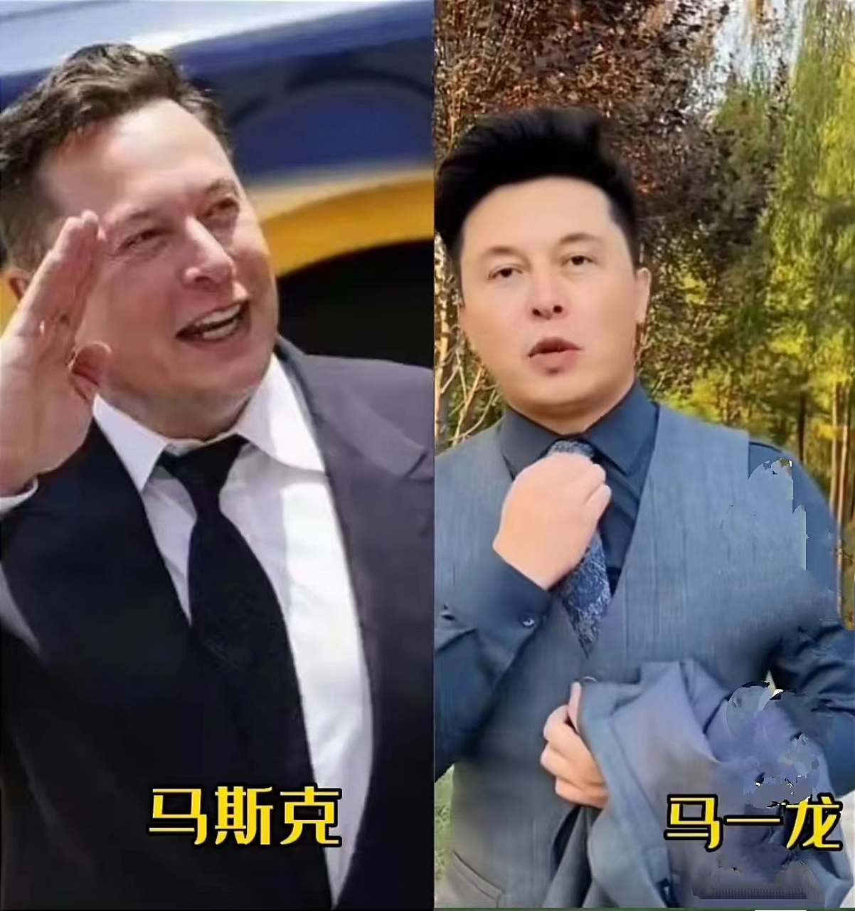 不知道马一龙以后是否也会说"我对钱没有兴趣"呢?