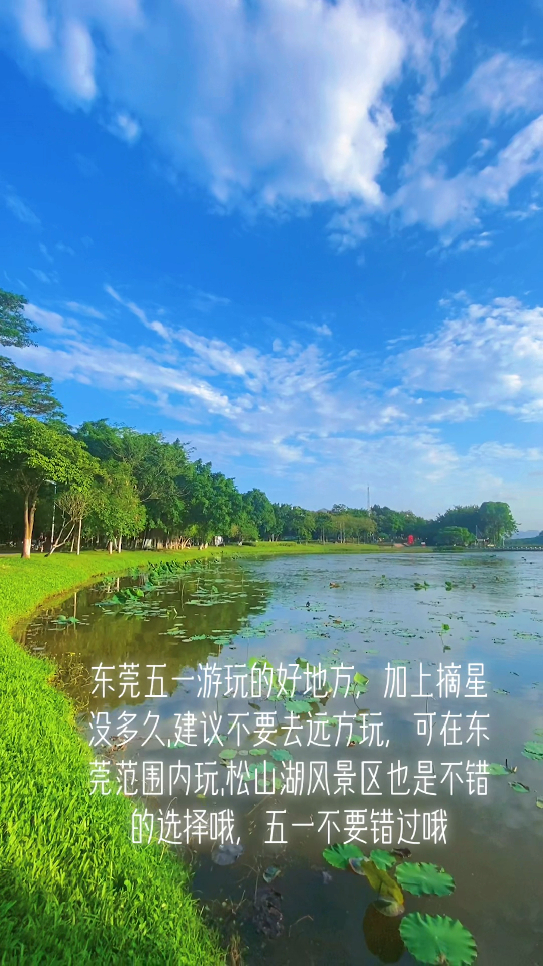 美丽松湖烟雨