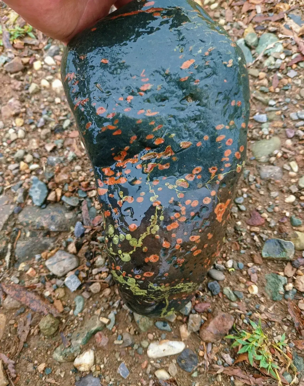 一男子河边捡到一个天然奇石.