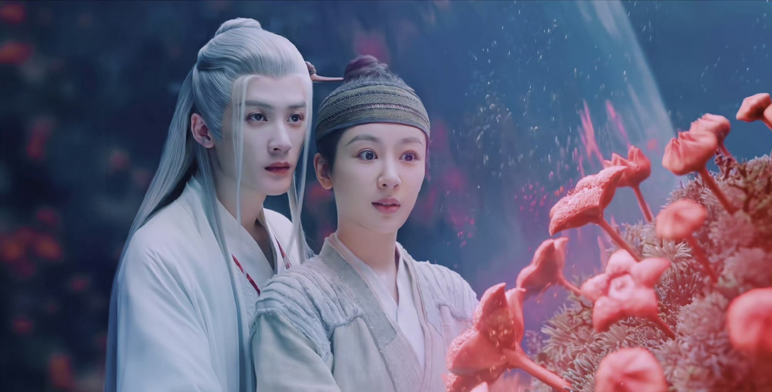 你也许并不熟悉我们每个人,但我们每一份努力和用心都只是因为你.