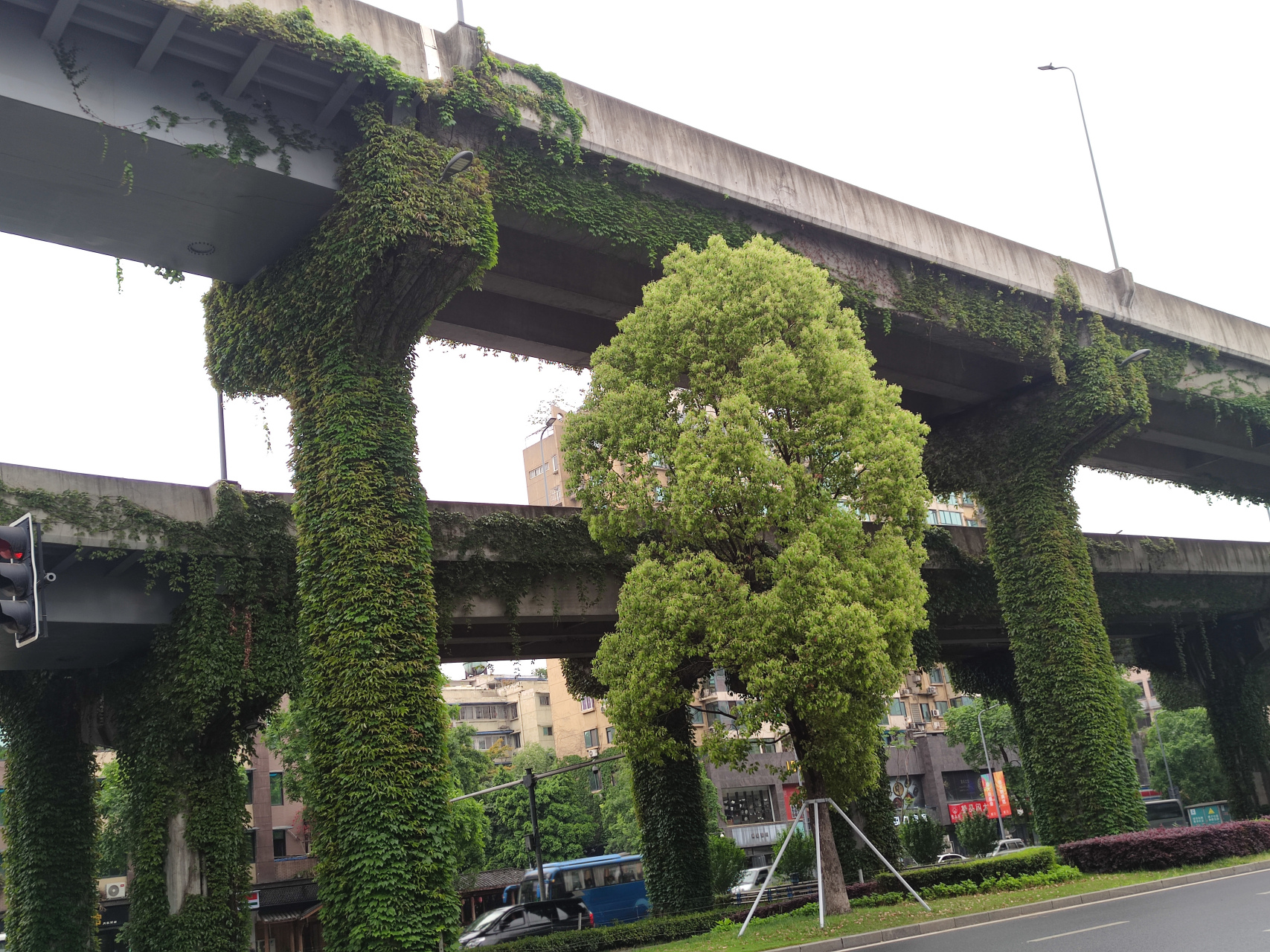 夏天到来,大家准备换短裤短裙了,城市里钢筋水泥丛林也焕然一新