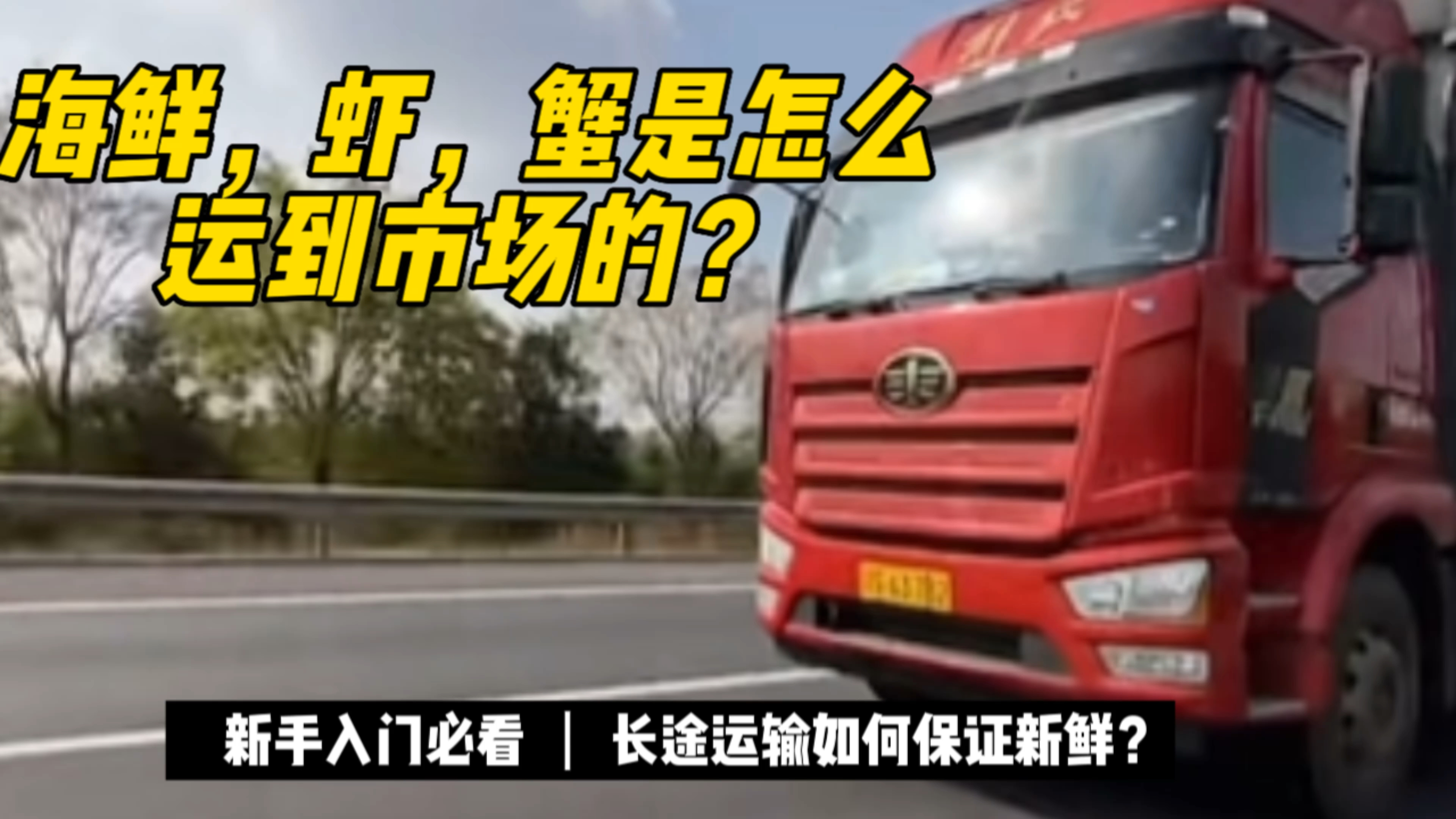 专业海鲜水产运输定制带你了解海鲜,虾,蟹是怎么运输到餐桌上的