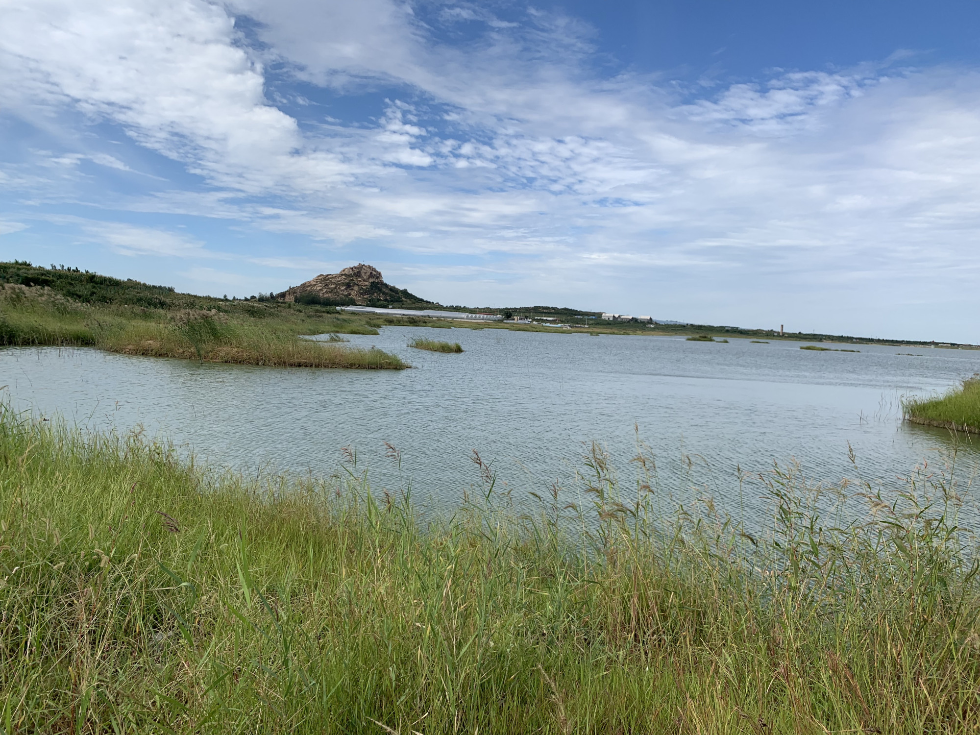 风景如画的平度市大泽山镇淄阳河水库,天蓝水碧,好惬意心向往之