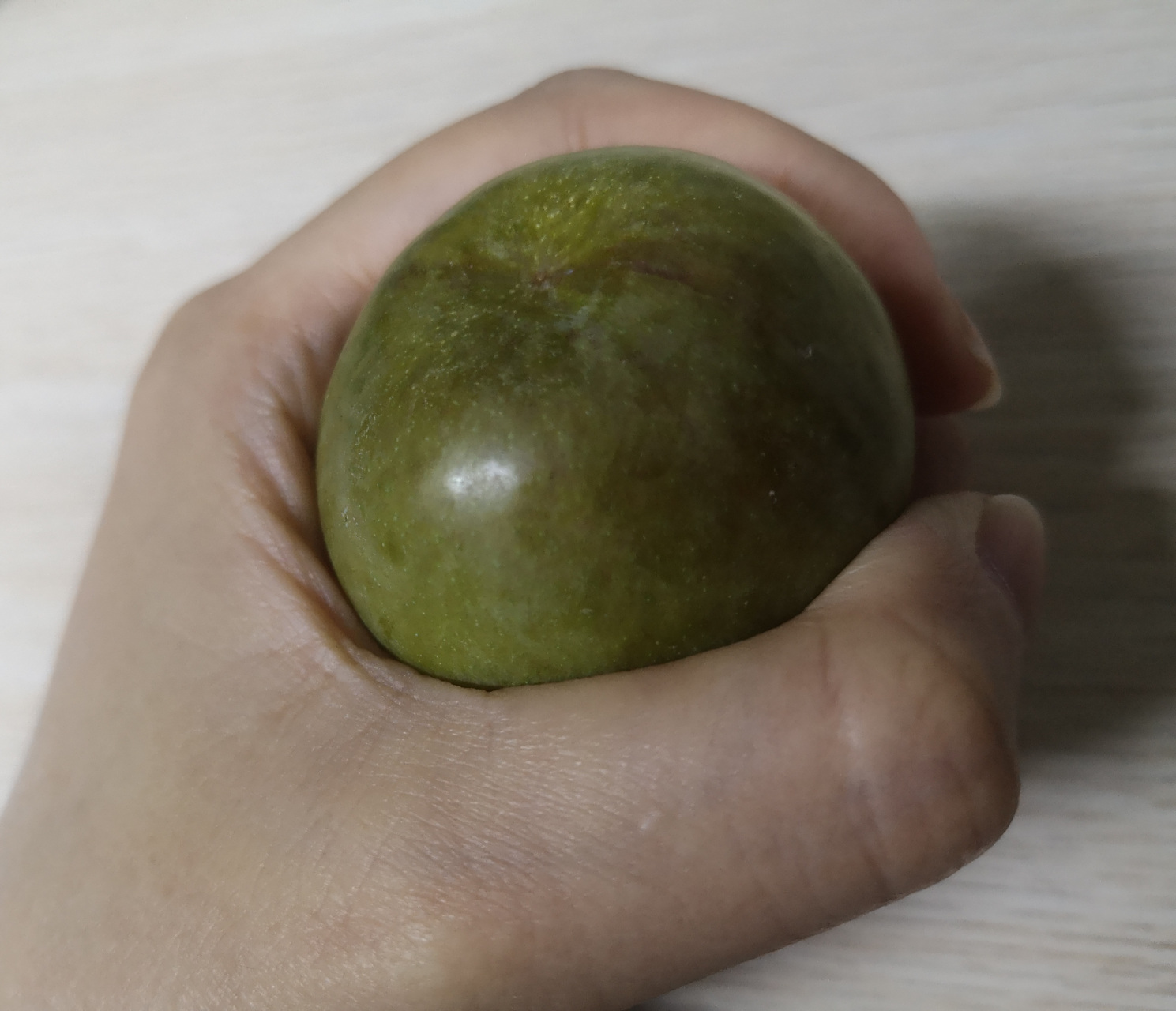 第一次见这么大的李子,手都握不过来