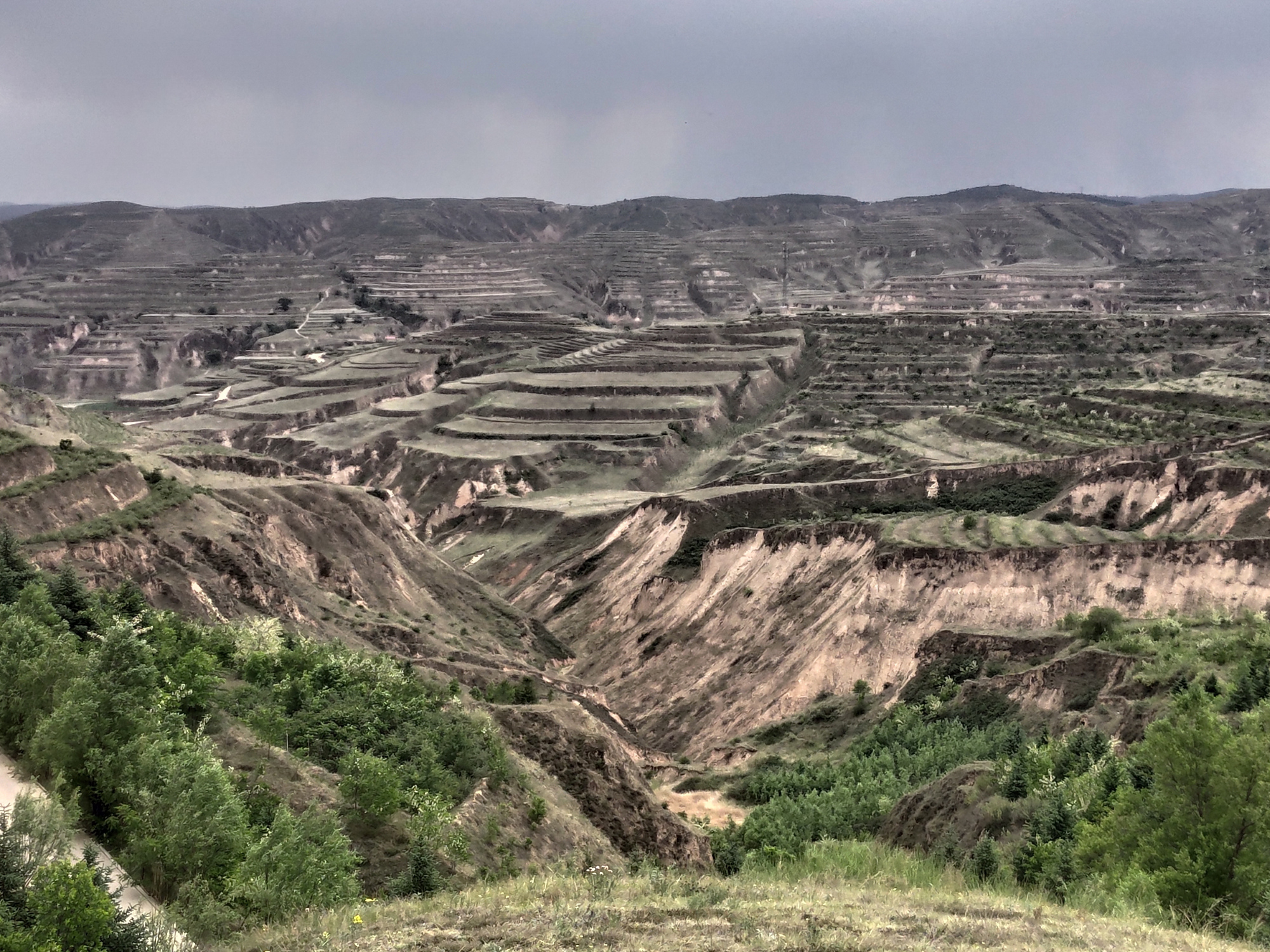 宁夏固原市黄土高原现状,山上都是绿色的植被