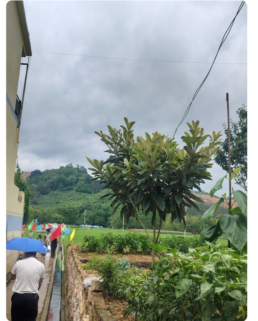 1,张新成和周雨彤的《大宋少年志2》预计8月播出.