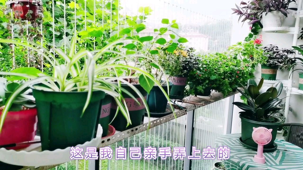 废物利用,用闲置的材料做成了花架,做法简单,很牢固