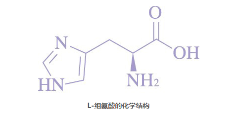 半必需氨基酸图片