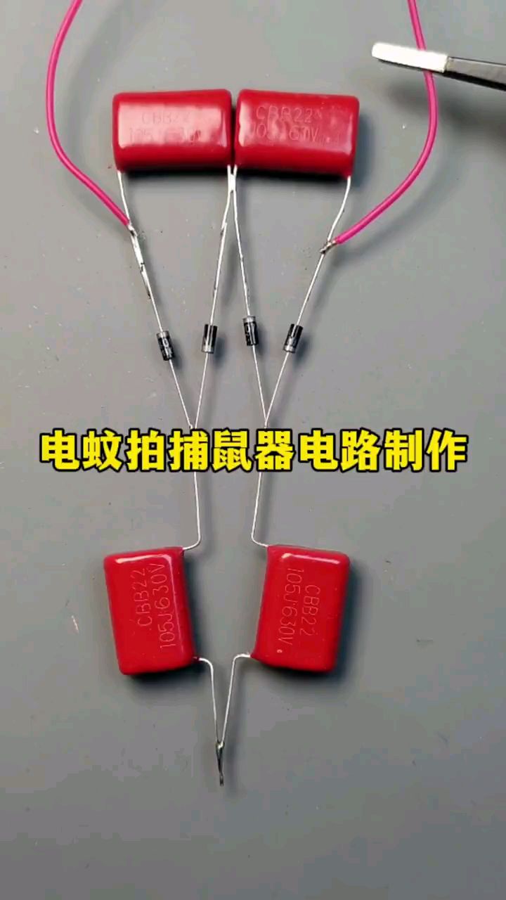 用几个简单的电子元器件就可以制作电蚊拍,捕鼠器的电路