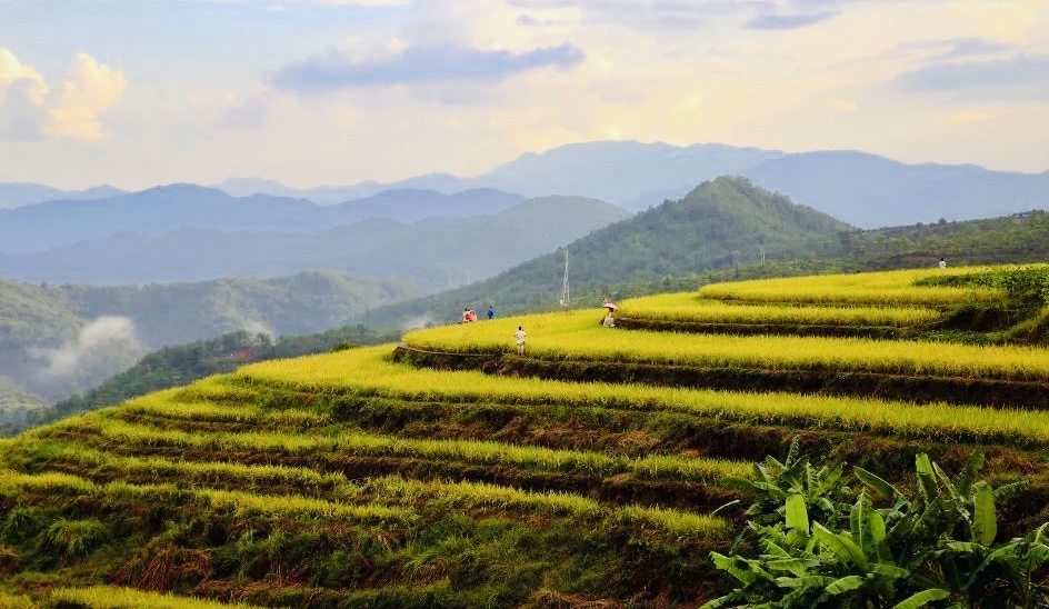 广东梅州坪山梯田,虽没元阳名气大,但四季景观各异,颇有特色