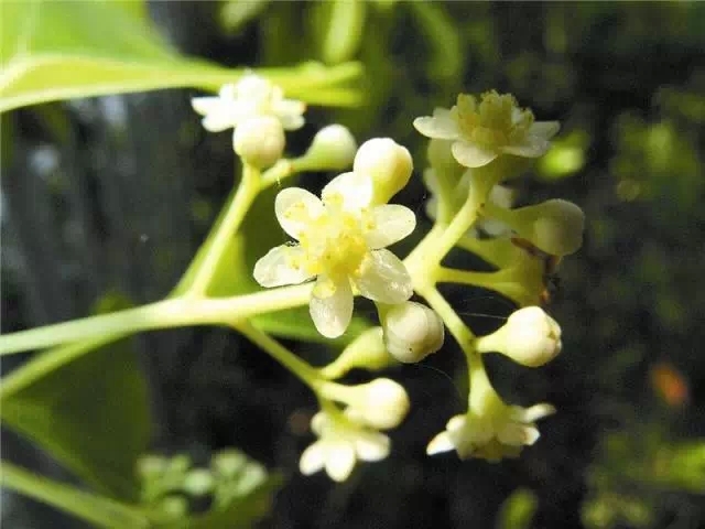 在那条街道流连