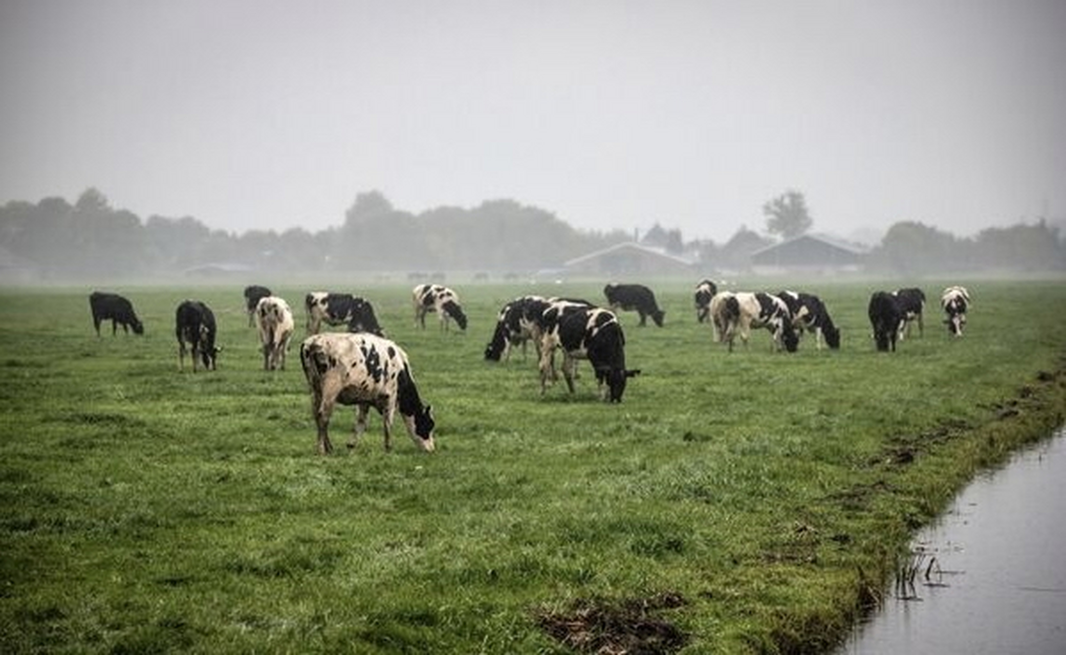 然后这些农场会被永久关掉.