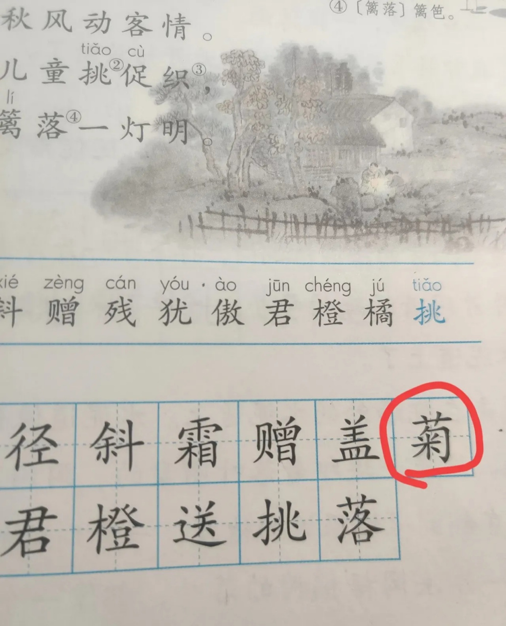 菊字组词图片