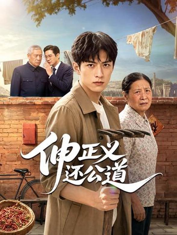 伸正义还公道封面图