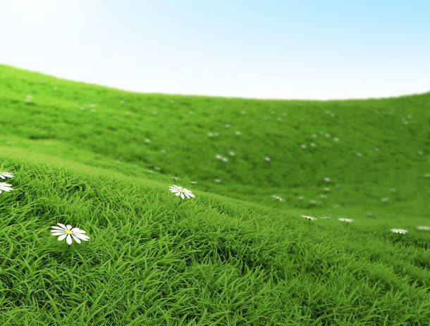 你知道婢虫的危害吗?