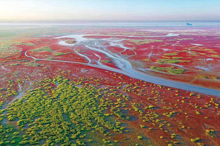 国家自然保护区系列——黄河三角洲