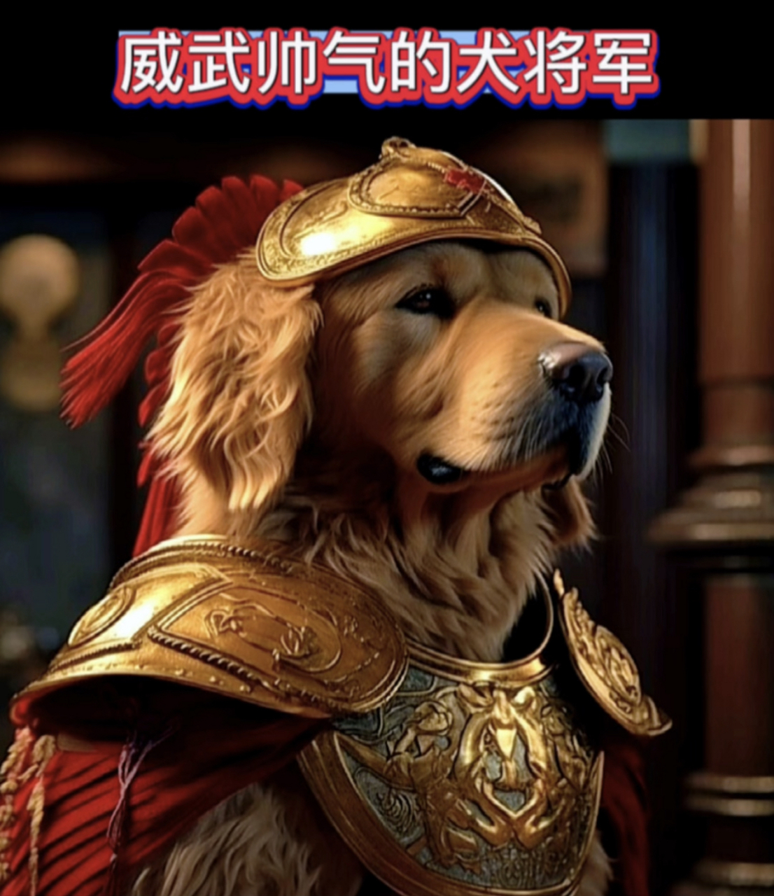 如果金毛生活在古代,一定是大将军这个角色