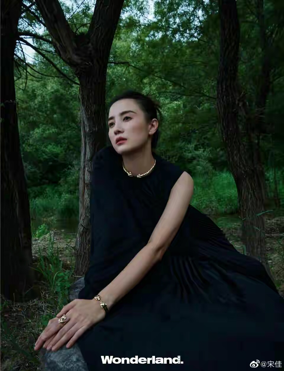 宋佳丛林大片,一袭黑色连衣裙彰显出高贵冷艳