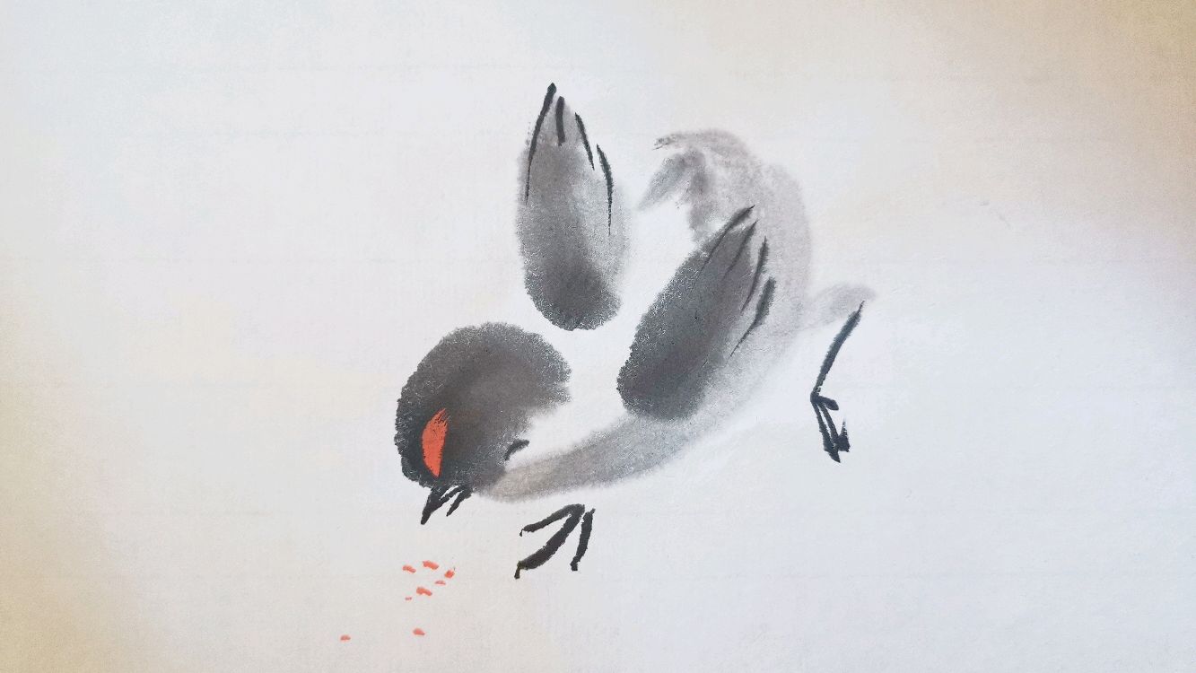 画小鸡 一只在吃米的小鸡
