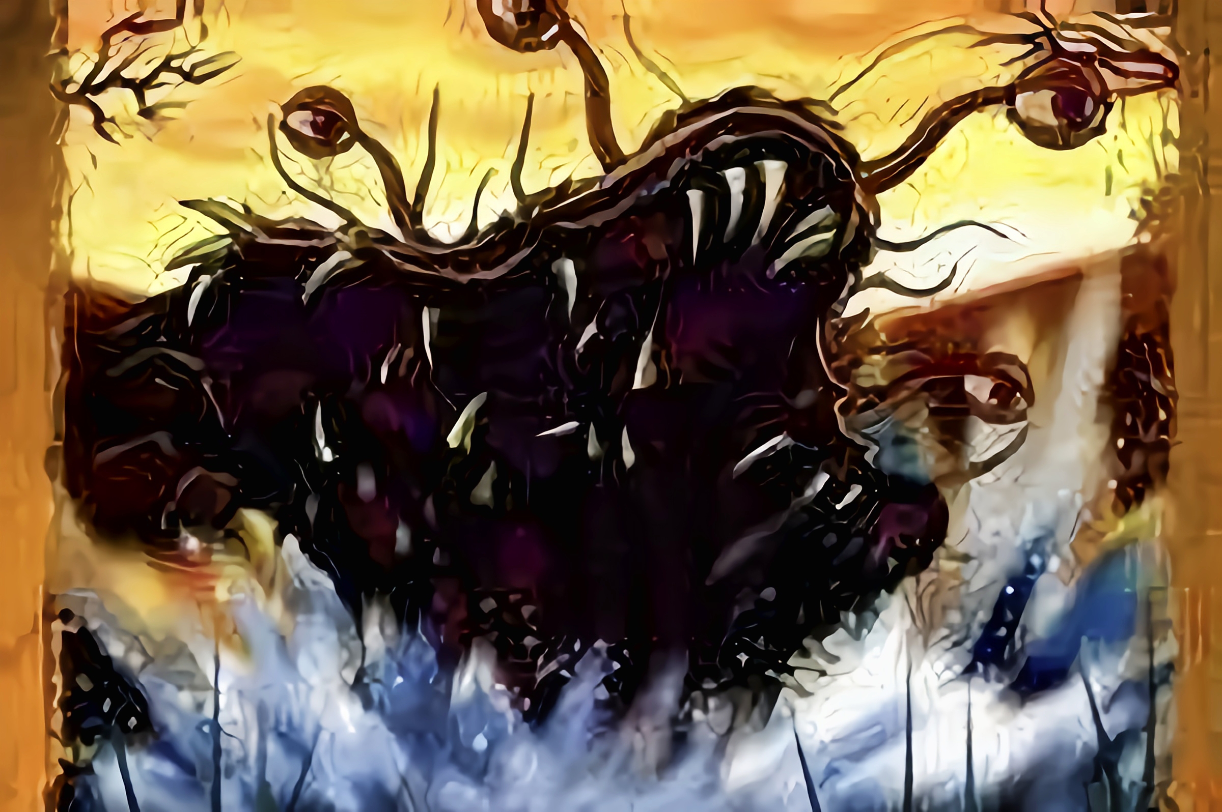 西双版纳"吸血毯",传说会拖人下水吸干血,它究竟是何种生物?