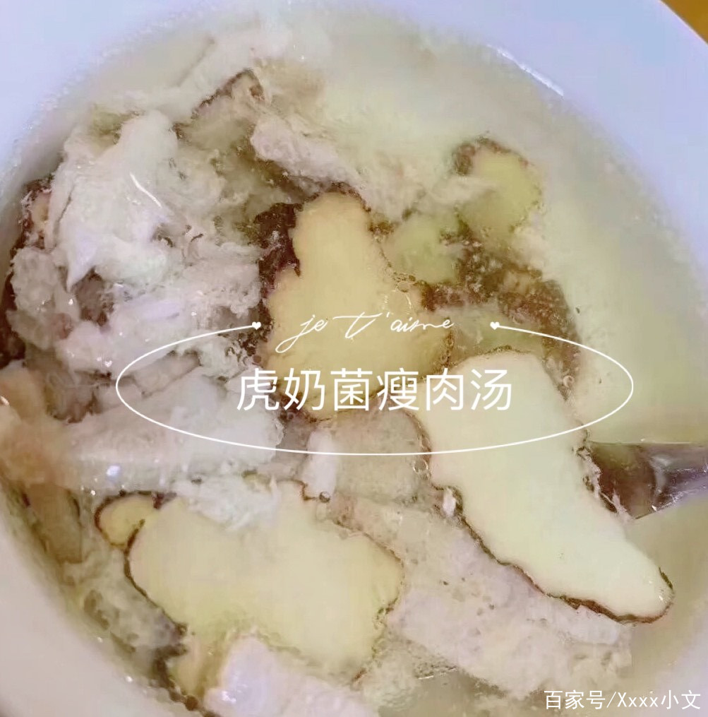 虎奶菌瘦肉湯:兒童潤肺湯,清熱止咳祛痰,簡單易做