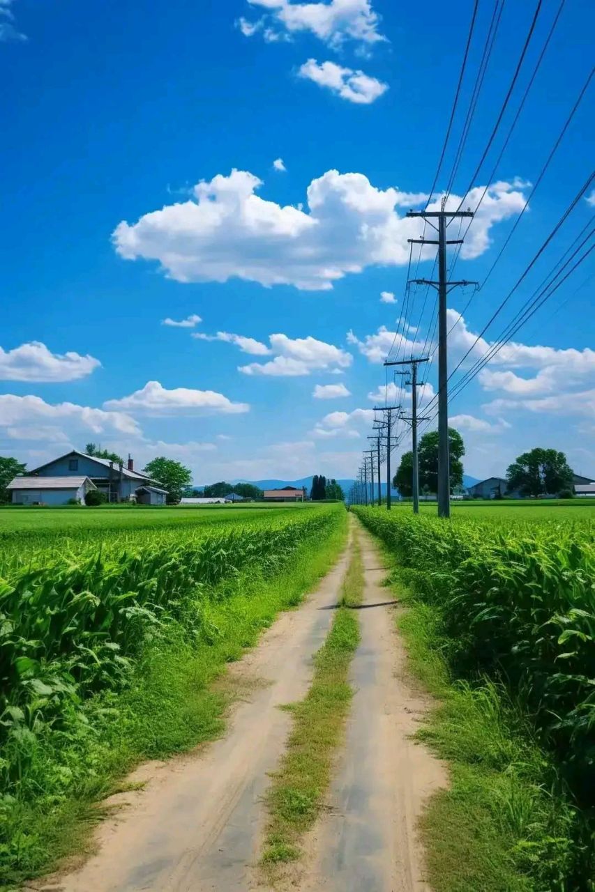 夏天美景乡村图片