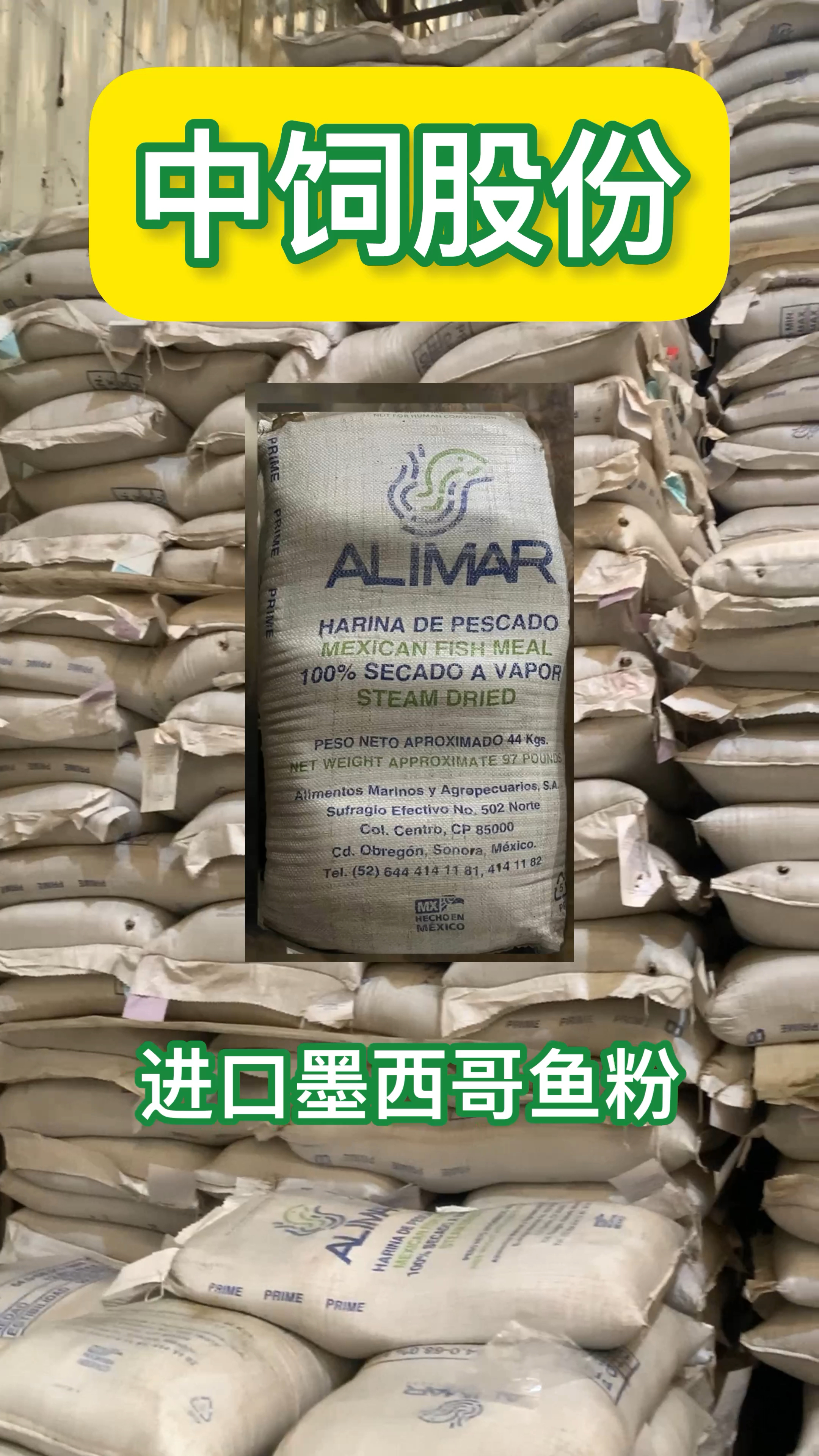 专业鱼粉供应商,进口墨西哥鱼粉新货进仓#进口鱼粉#墨西哥鱼粉