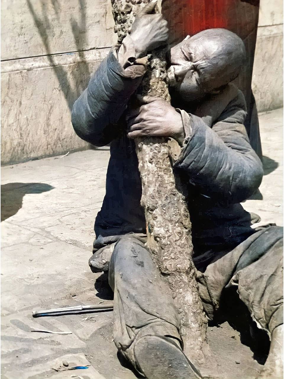 1942年一位饿的不行的大树正在啃树皮,那时粮食因为大灾颗粒无收,穷苦