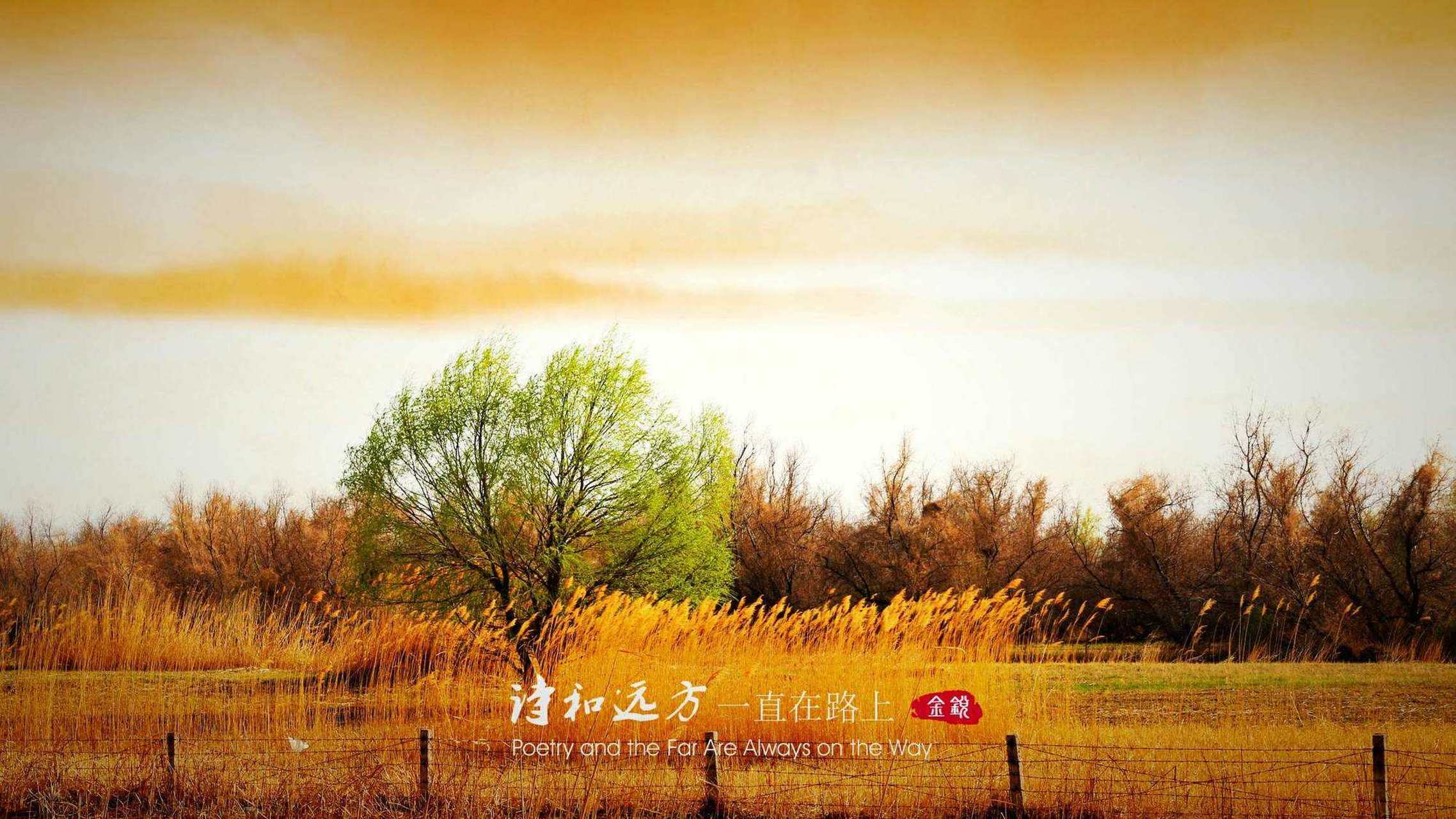 究竟是该拼命奔跑追逐梦想,还是该慢下来享受当下?