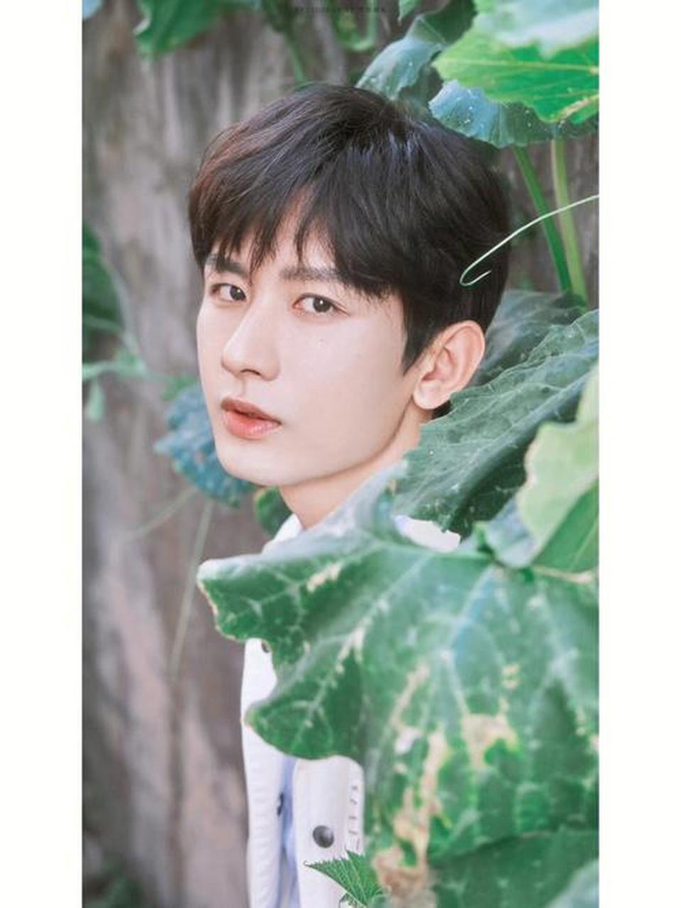 1,成毅非常讨厌被别人称作小鸡嘴,他的团队把相关词条都引流到了