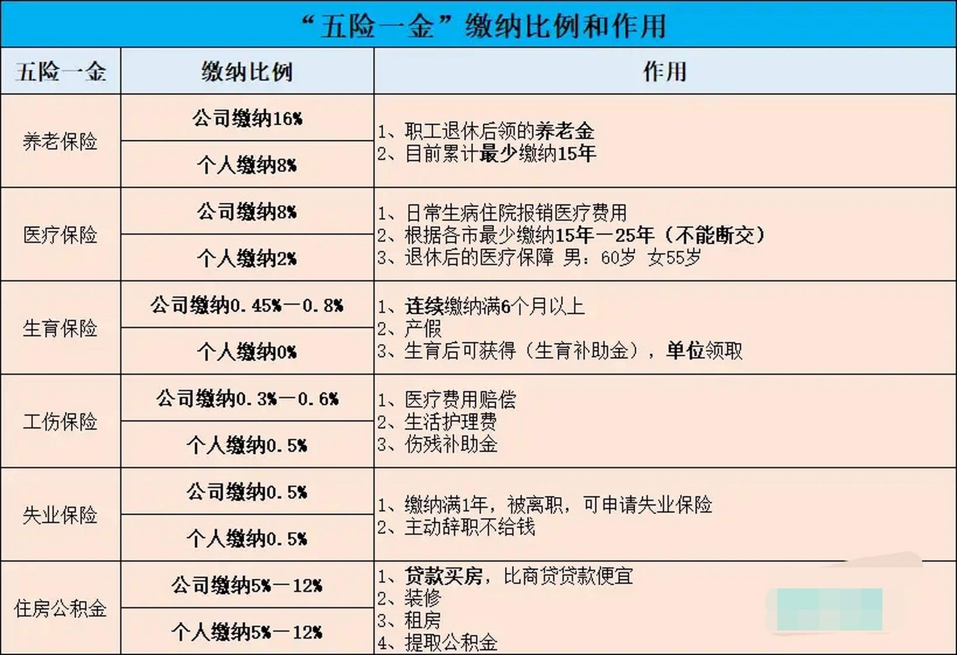 五险一金缴纳比例和作用