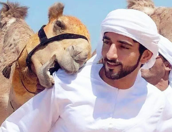 迪拜王子哈曼丹:成龙借他的车拍电影,拥有20架飞机喜欢徒步