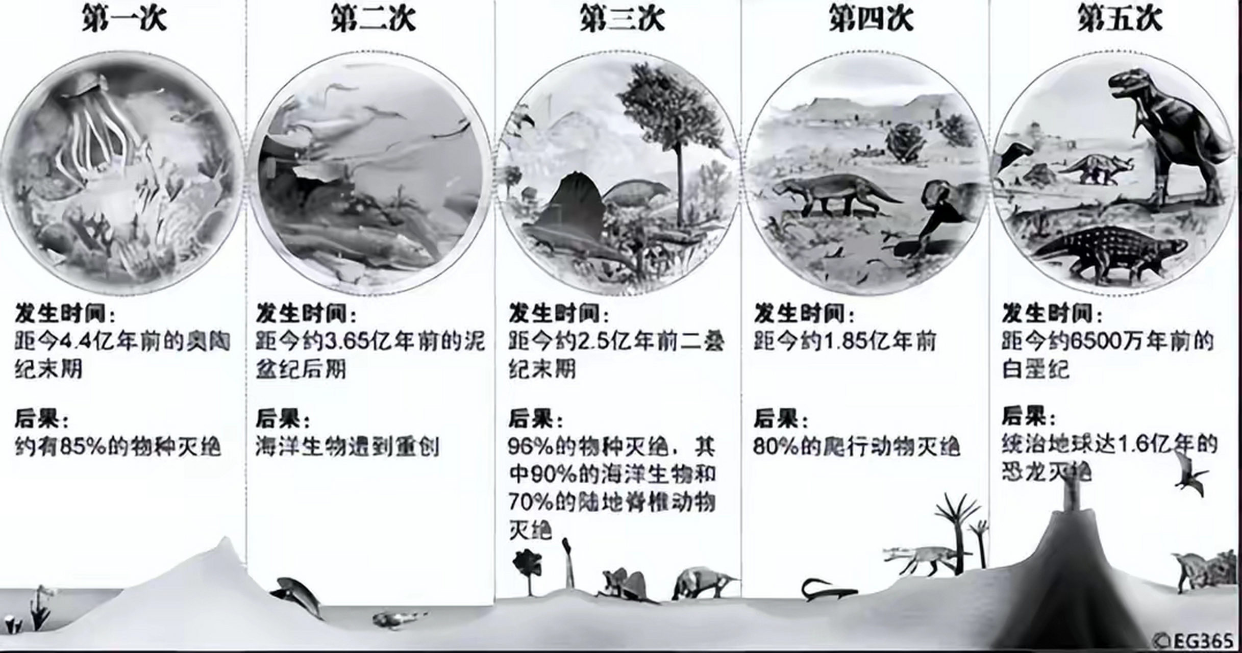 最让人绝望的解释:史上最严重的物种大灭绝只是因为一次基因转移  当