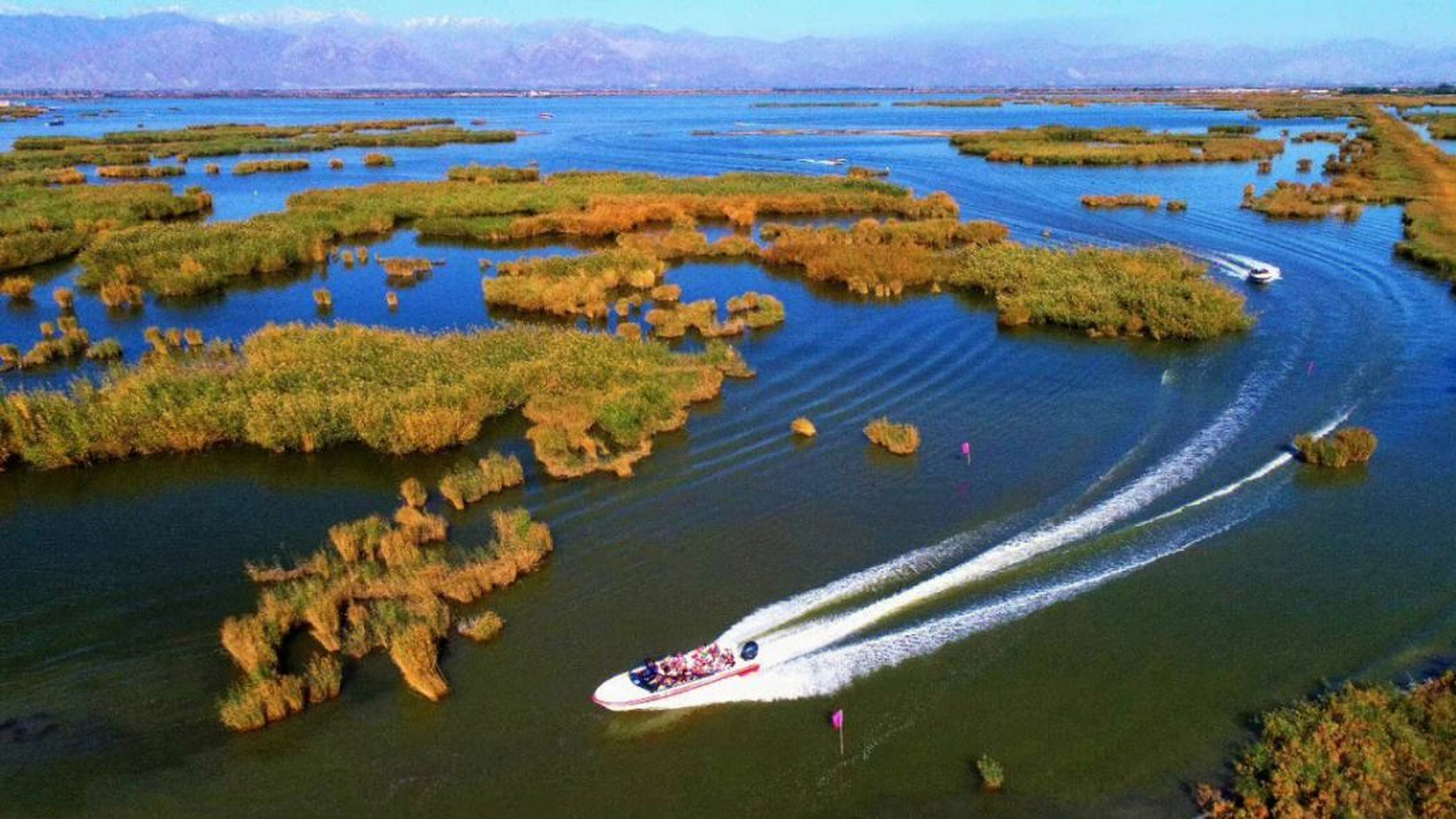 宁夏石嘴山市沙湖旅游景区是一个国家风景名胜区,国家5a级旅游风景区