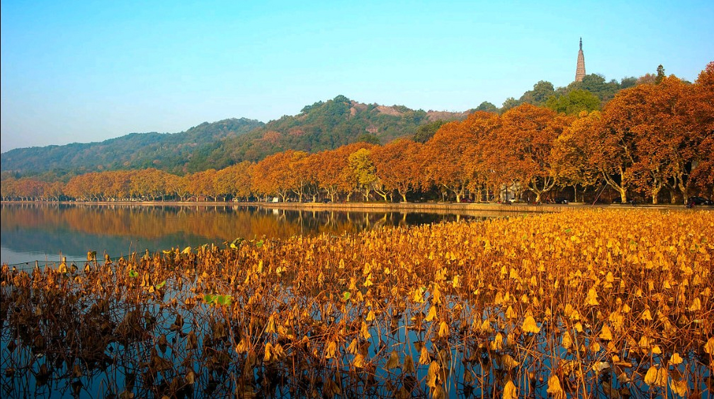 杭州宝石山风景图片