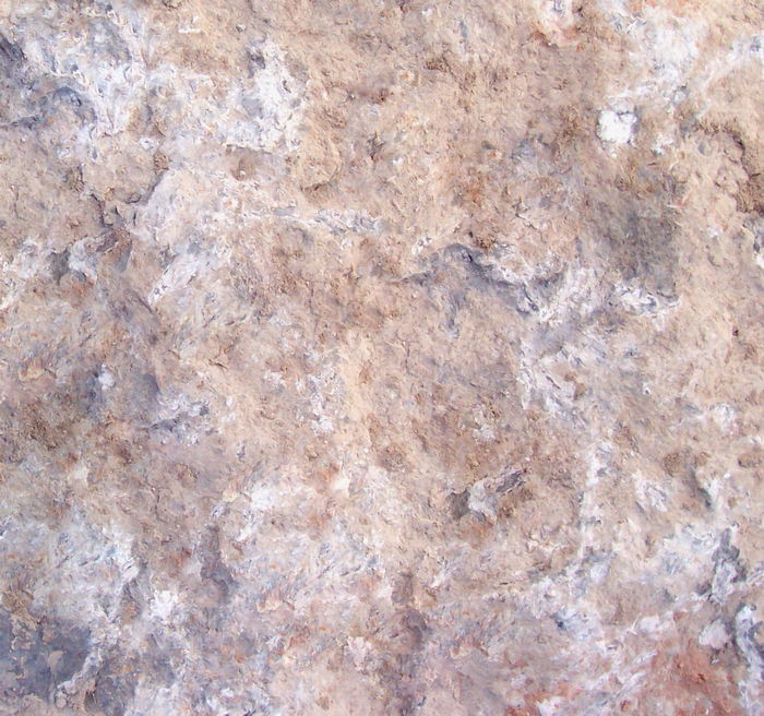 石头ID18104