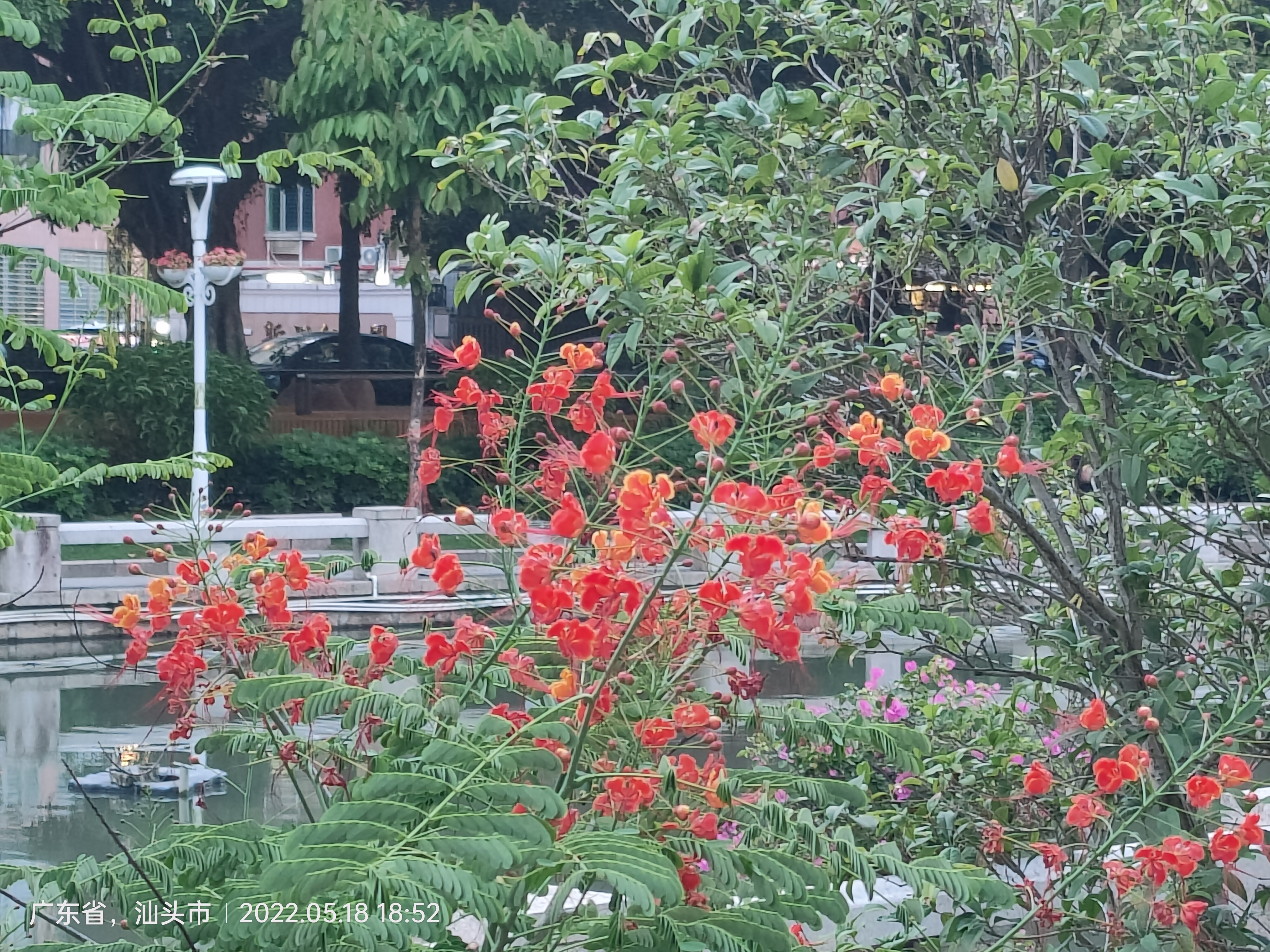 《十六字令·春》