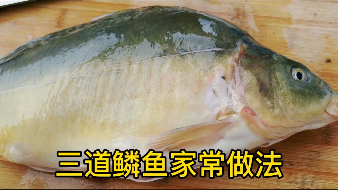大厨这样做家常三道鳞鱼,鲜香肥美,配上米饭,好吃得停不下来!
