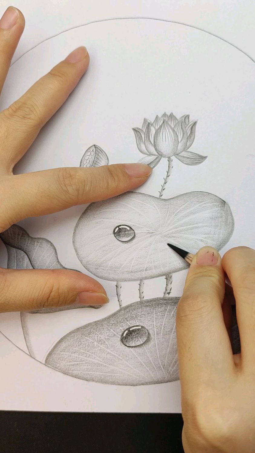 教你画荷叶上的小水珠,你学会了吗?-度小视