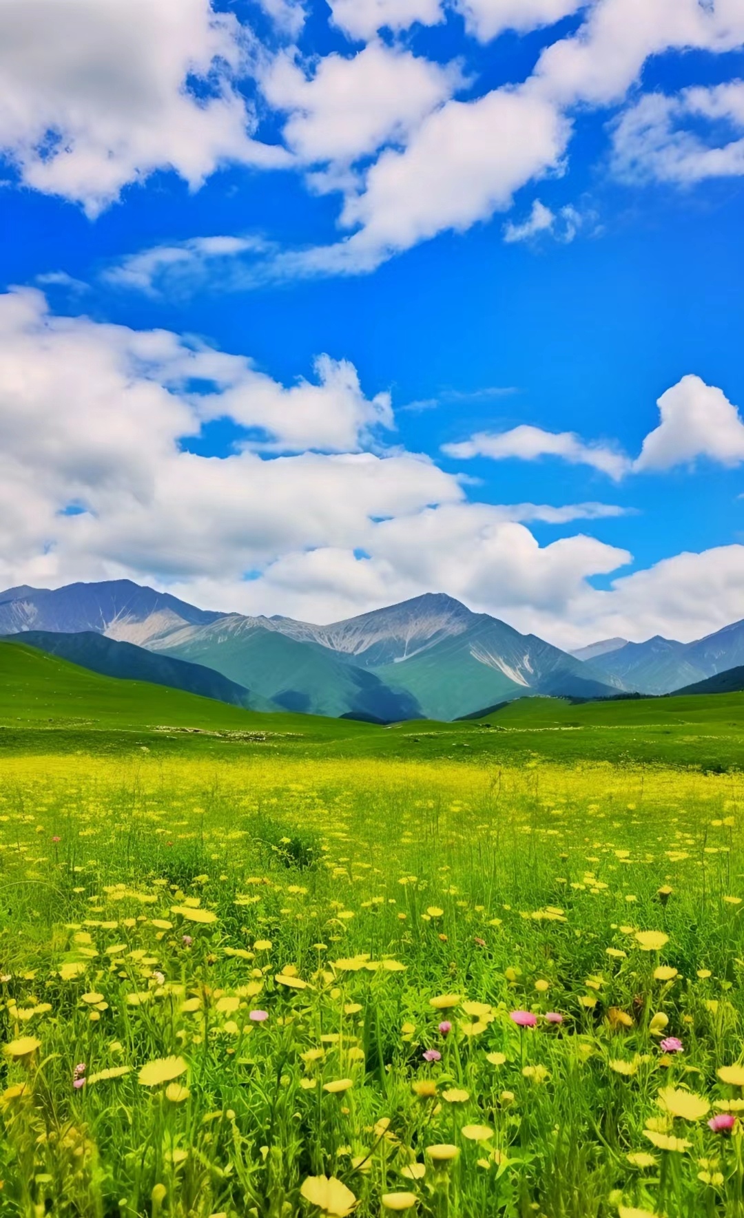 川西大草原若尔盖,有着绵延的草原高山,这里的美丽风光令人陶醉