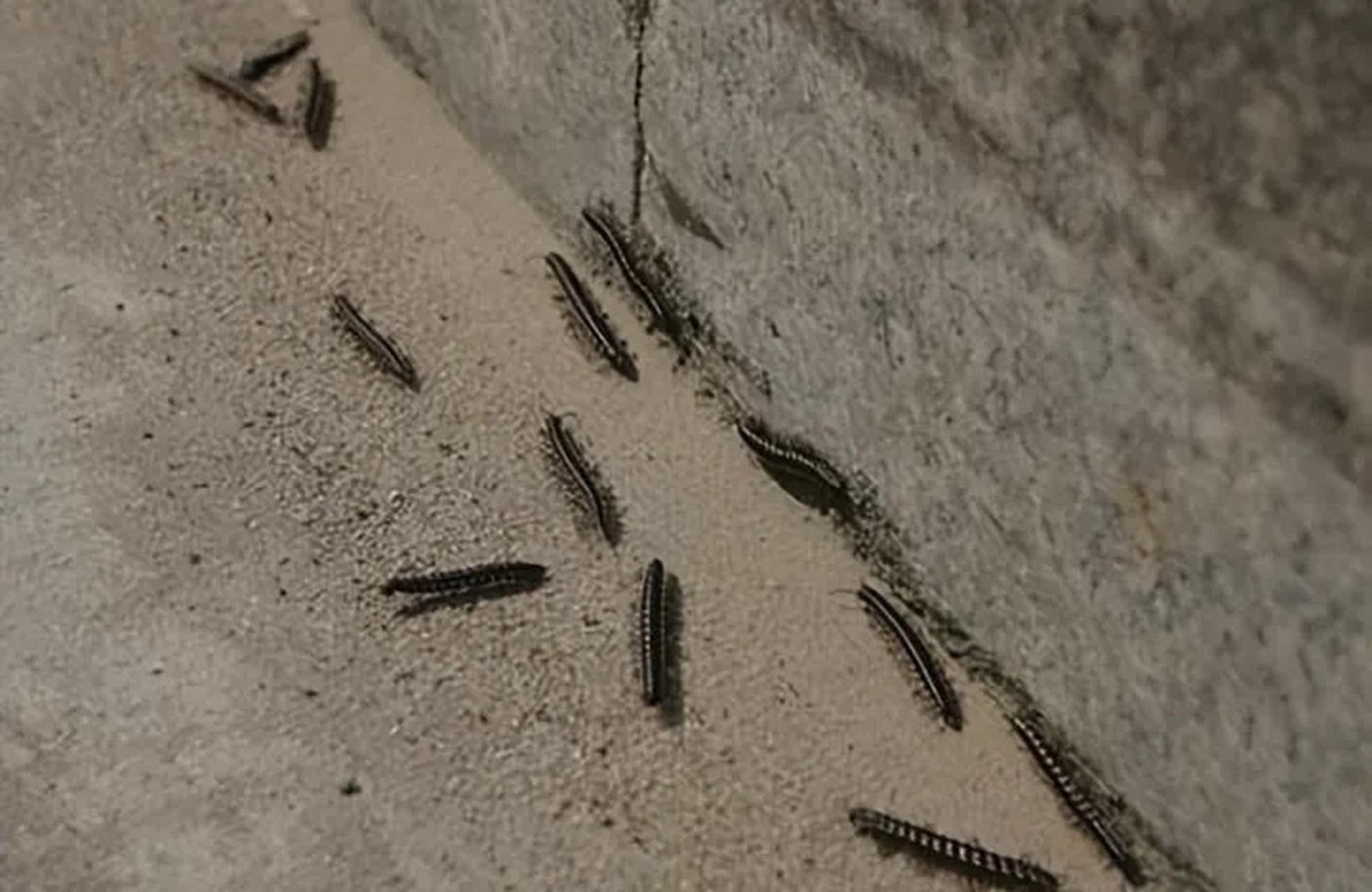 4月9日,四川省成都市武侯区大悦路的人行道上